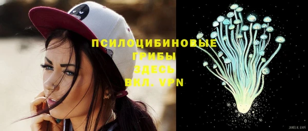 ПСИЛОЦИБИНОВЫЕ ГРИБЫ Гусев