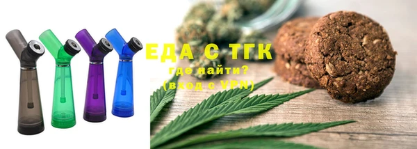 ПСИЛОЦИБИНОВЫЕ ГРИБЫ Гусев