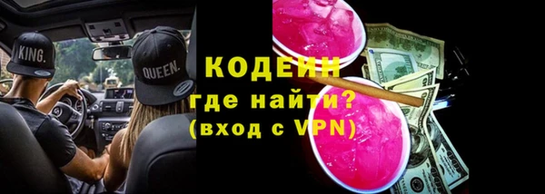 мдпв Гусь-Хрустальный