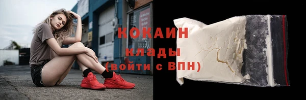 мдпв Гусь-Хрустальный