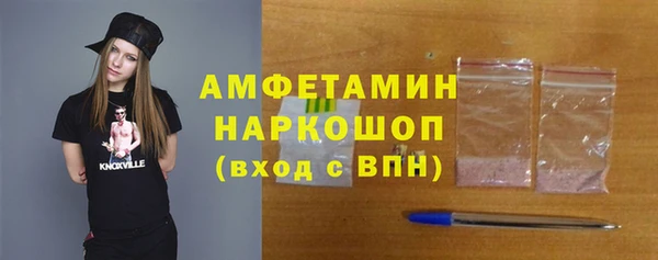 мдпв Гусь-Хрустальный