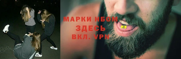 мдпв Гусь-Хрустальный