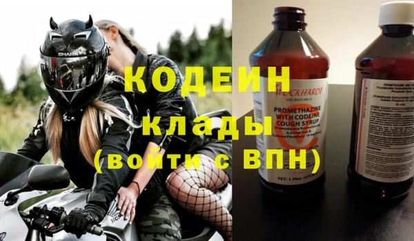 ПСИЛОЦИБИНОВЫЕ ГРИБЫ Гусев