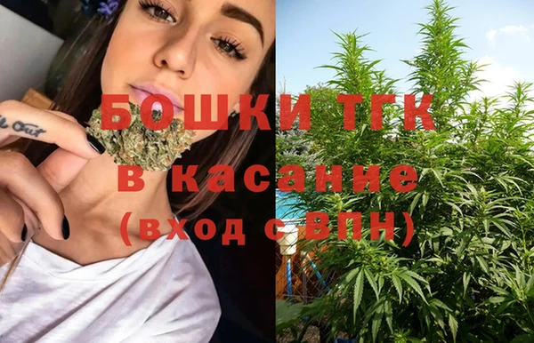ПСИЛОЦИБИНОВЫЕ ГРИБЫ Гусев