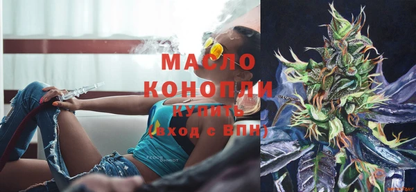 мдпв Гусь-Хрустальный