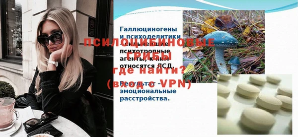 мдпв Гусь-Хрустальный