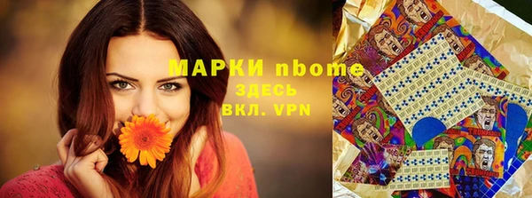 мдпв Гусь-Хрустальный