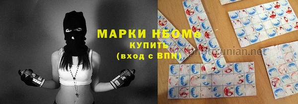 ПСИЛОЦИБИНОВЫЕ ГРИБЫ Гусев